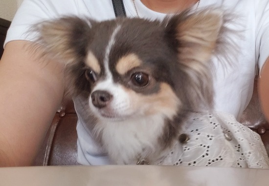 2020-09-14-124023207