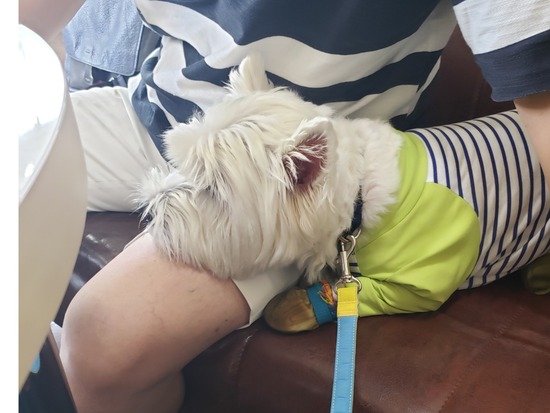 20-09-14-13-13-46-735_deco