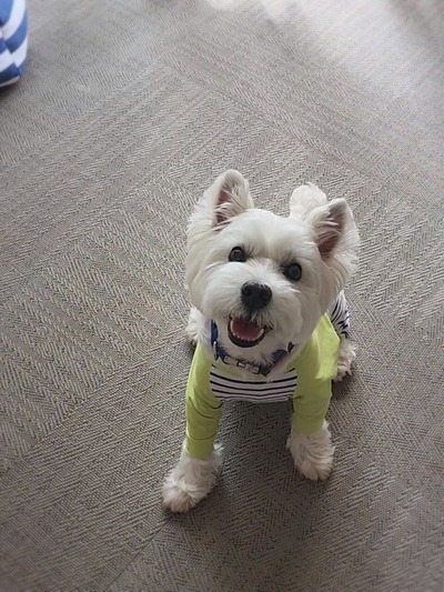 22-06-13-20-05-19-841_deco