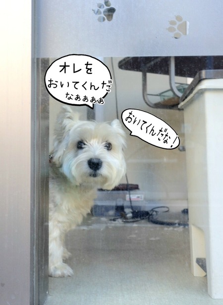 朝風呂からの～