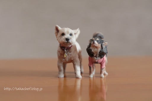 【ご質問のお返事】犬の３Dコピーを作ってくれるお店