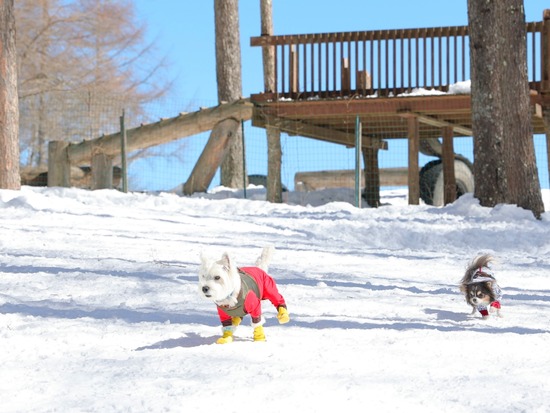 22-03-01-12-52-53-713_deco