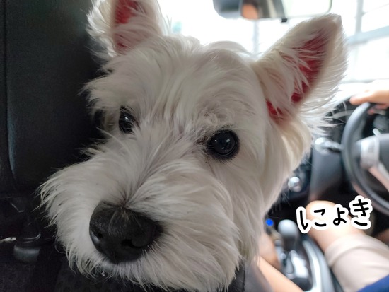 22-08-25-13-26-38-713_deco