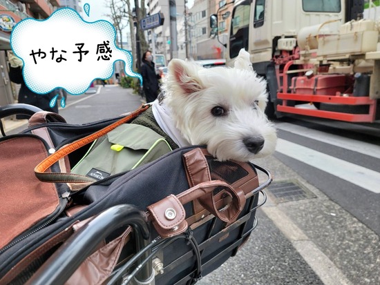 透明人間になりたかった僕。