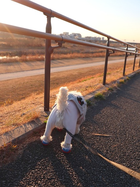 23-03-02-11-22-52-099_deco