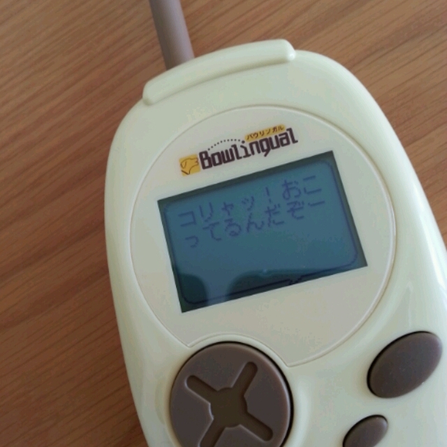 懐かしのバウリンガル たかシェフのおうちごはん と 白い犬 と チワワ Powered By ライブドアブログ