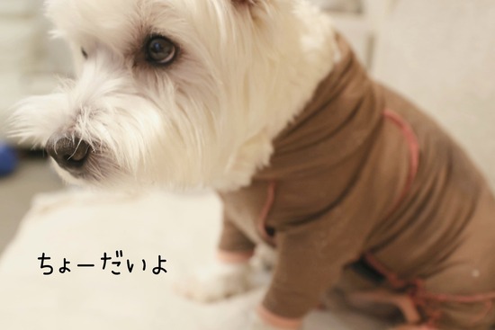 24-08-31-20-07-47-301_deco