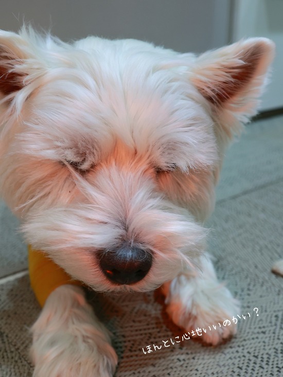 26-01-08-07-38-09-097_deco