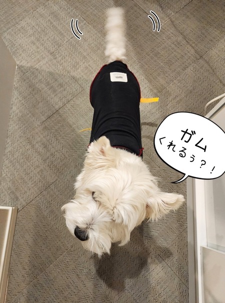 24-02-23-10-50-47-190_deco