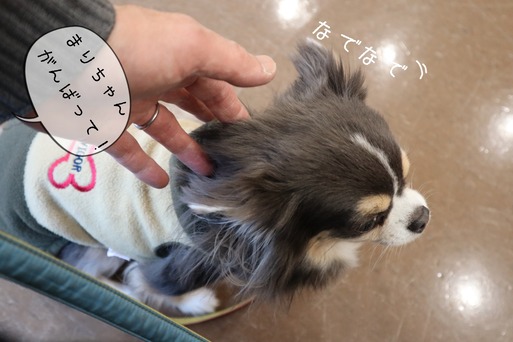 20-01-31-09-58-52-163_deco