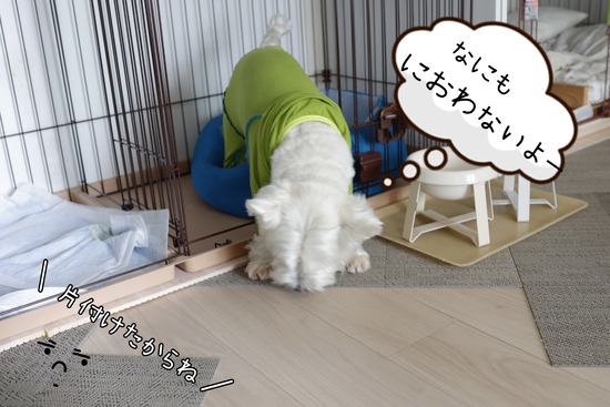 【犬グッズ】犬飼いの床の工夫
