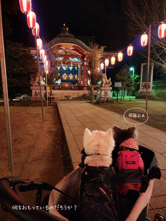 26-01-09-06-09-56-864_deco