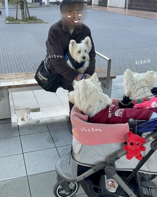 25-11-29-10-11-38-507_deco