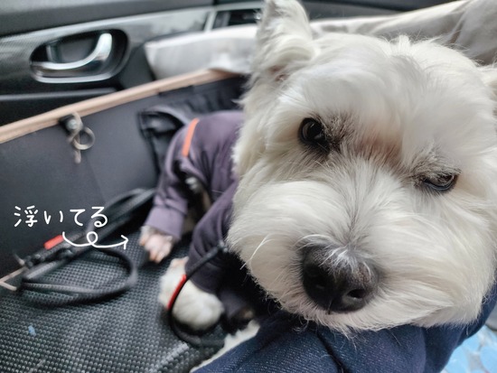 23-05-14-15-32-45-446_deco