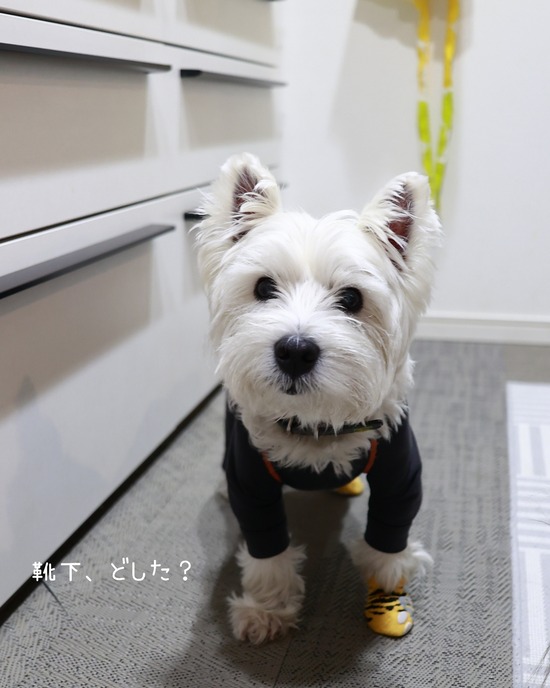 25-12-21-07-21-26-768_deco