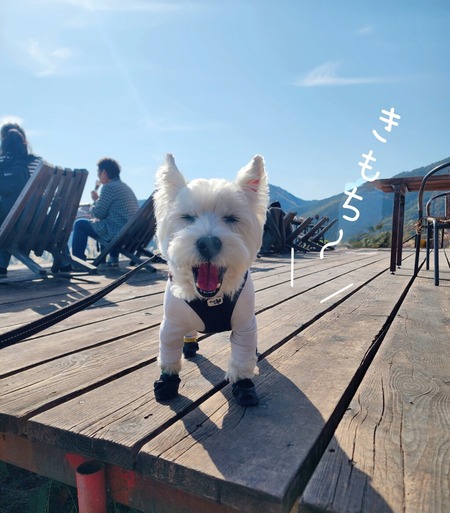 ほったらかしキャンプ場で食べたごはん記録