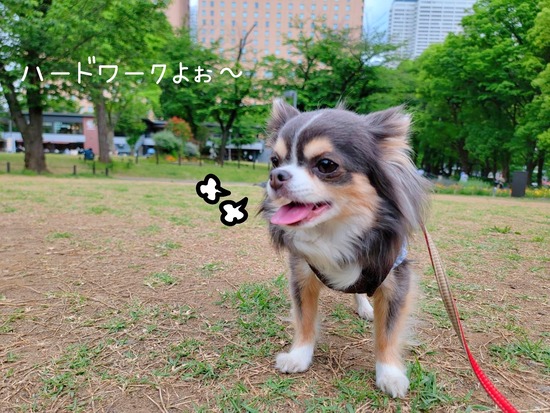 22-05-13-09-53-19-394_deco