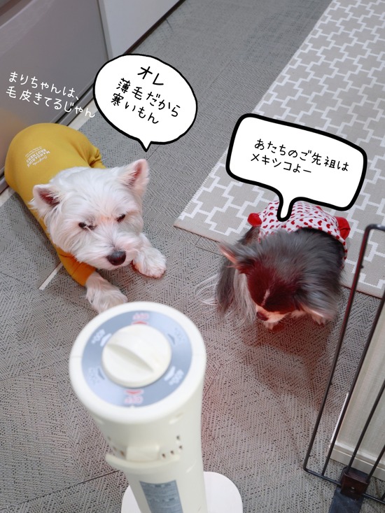 26-01-08-07-19-05-874_deco