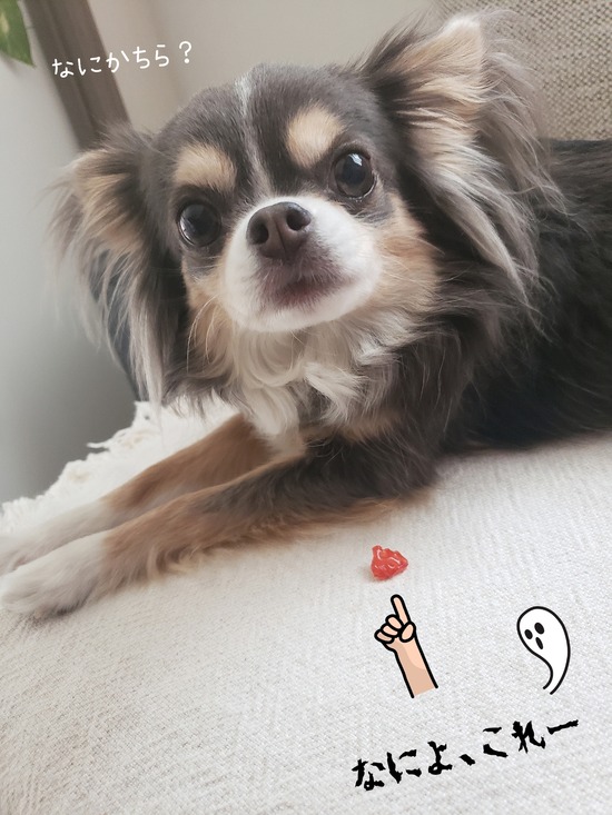 22-04-11-10-00-52-709_deco