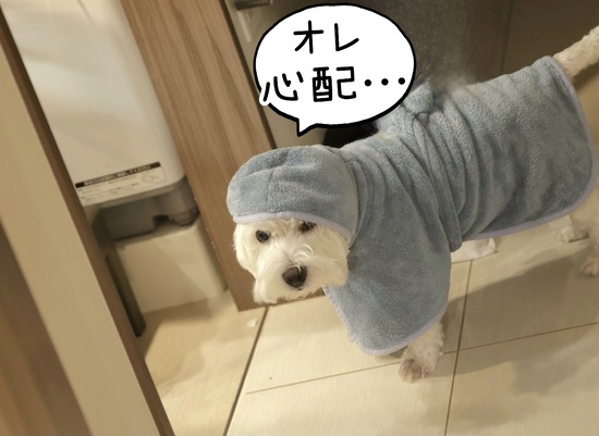 24-08-20-10-07-30-324_deco