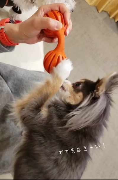 21-03-10-16-47-42-544_deco