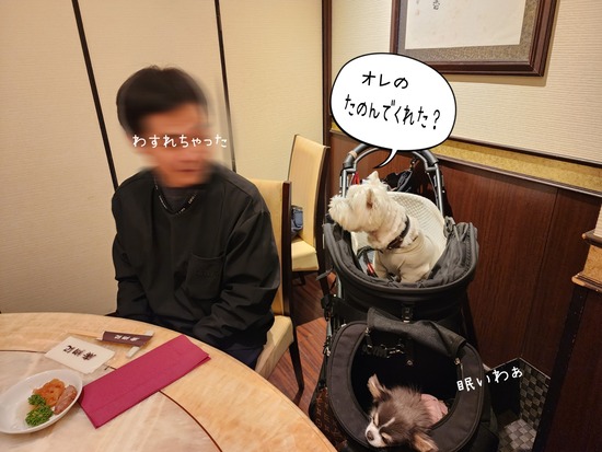 26-01-05-10-09-08-523_deco