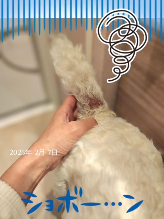 25-02-07-07-38-13-262_deco