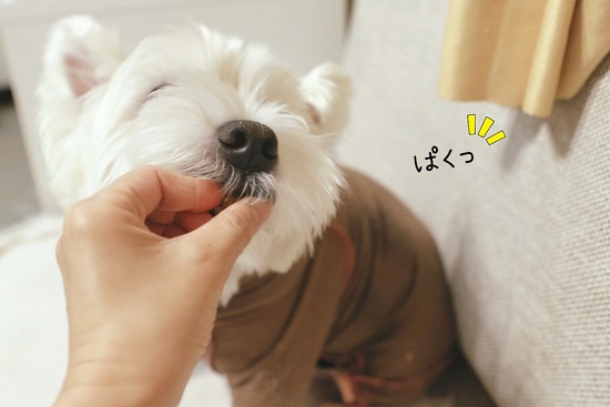 24-08-31-19-51-03-634_deco