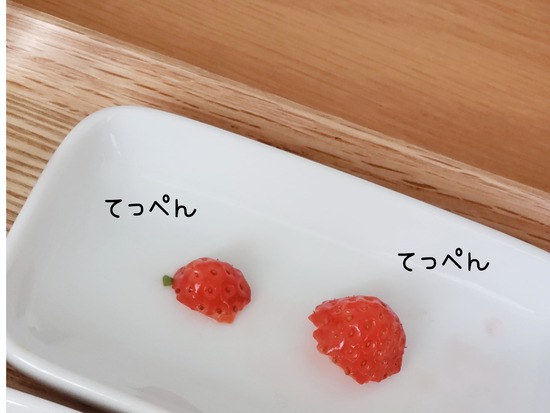 22-04-11-10-26-57-611_deco