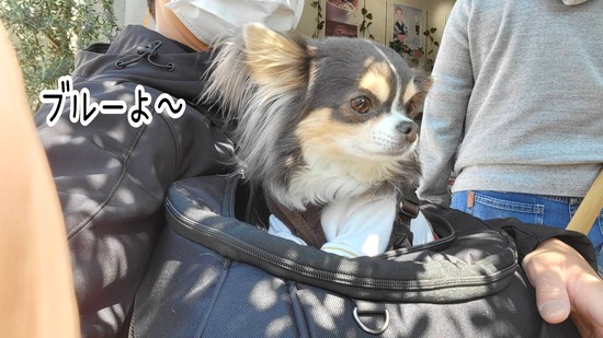 22-03-24-14-30-49-787_deco