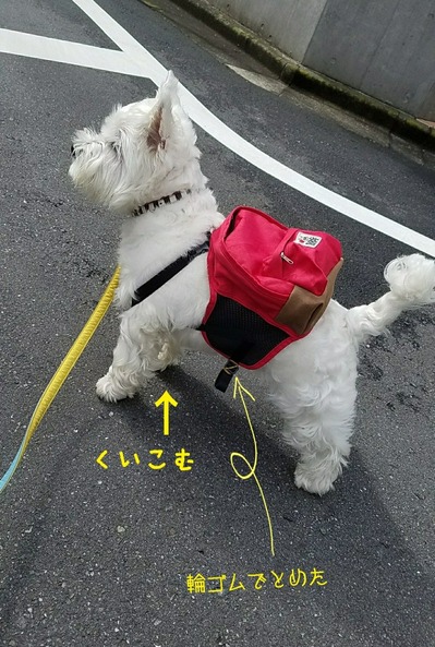 ウエスティ リュック