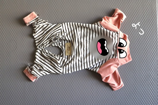 　任務を終えたお洋服のつぶやき