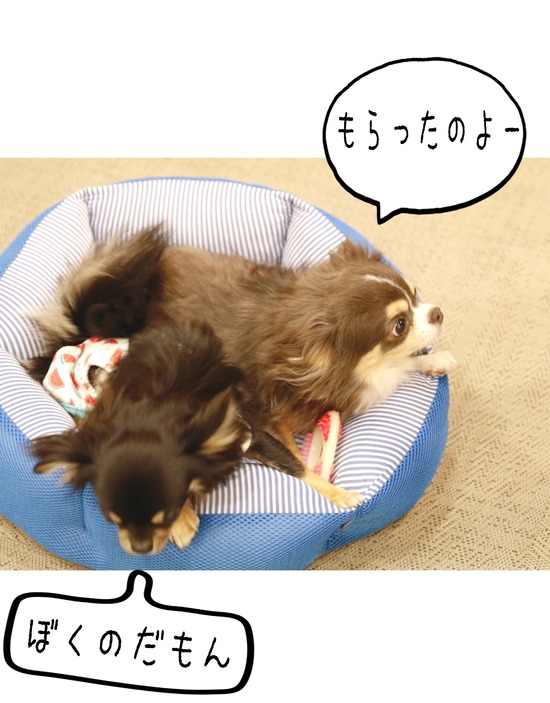 21-10-11-02-45-26-696_deco