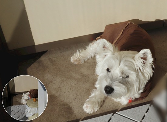 21-12-12-18-29-42-430_deco