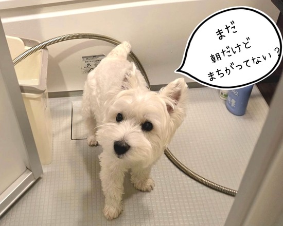 えっ！？朝風呂？