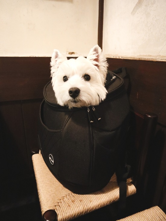 22-04-17-12-52-54-032_deco