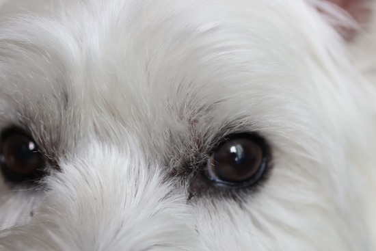 20240529104153_3A7A5208