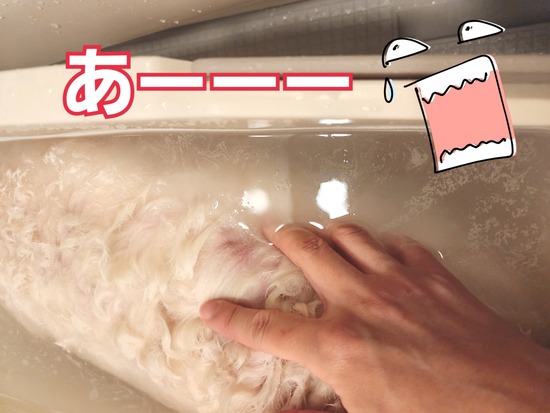 23-02-10-00-56-20-434_deco