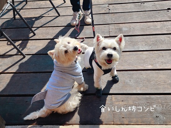 25-11-08-10-13-55-266_deco