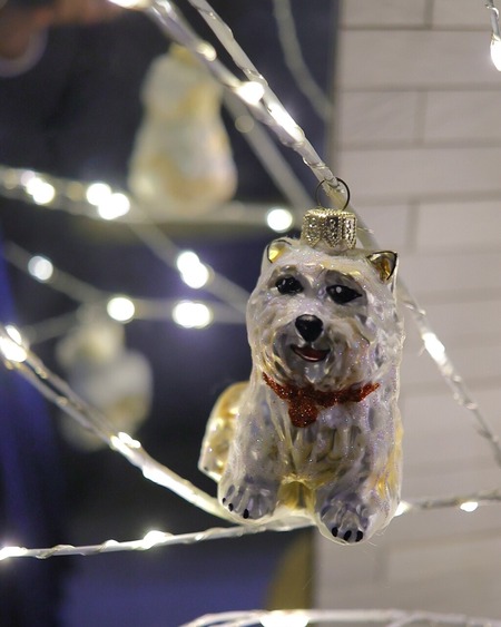 25-12-12-09-24-43-846_deco