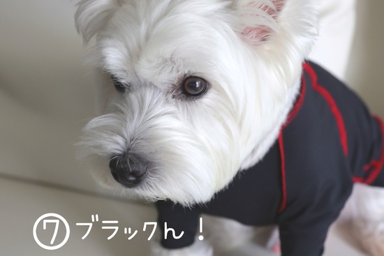 22-06-30-21-02-18-846_deco