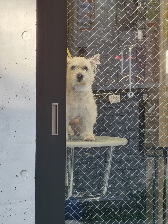 薬浴してるところをみたいのだが…