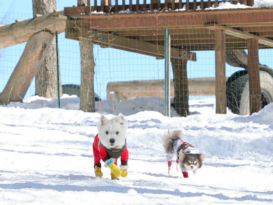 22-03-01-12-53-34-009_deco