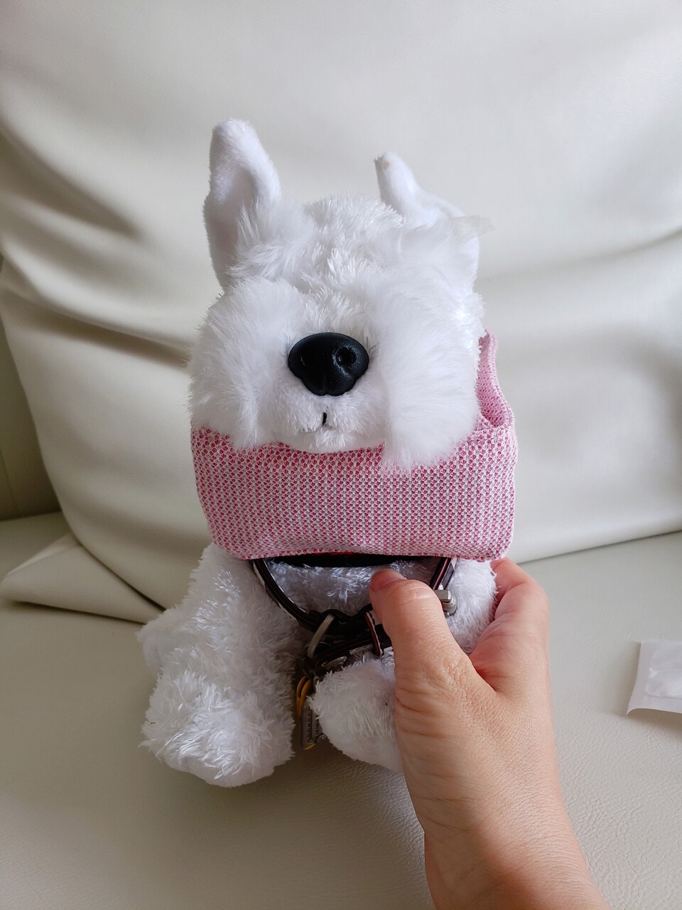 犬グッズ 保冷剤の検討 たかシェフのおうちごはん と 白い犬 と チワワ Powered By ライブドアブログ