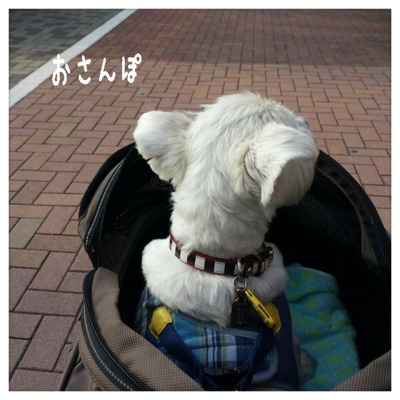 なんか間違っている・・・