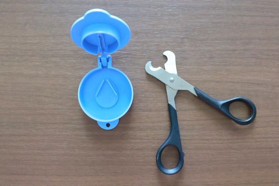 23-06-27-11-22-17-919_deco