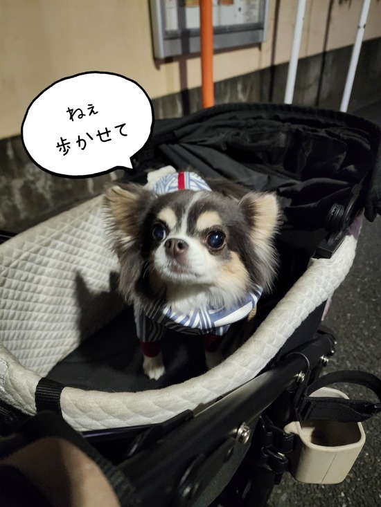 26-01-14-07-16-21-767_deco