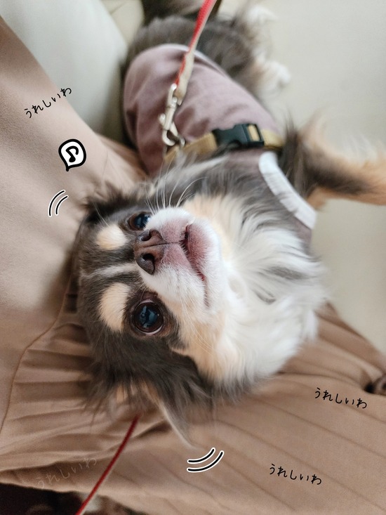 23-05-13-09-04-37-574_deco