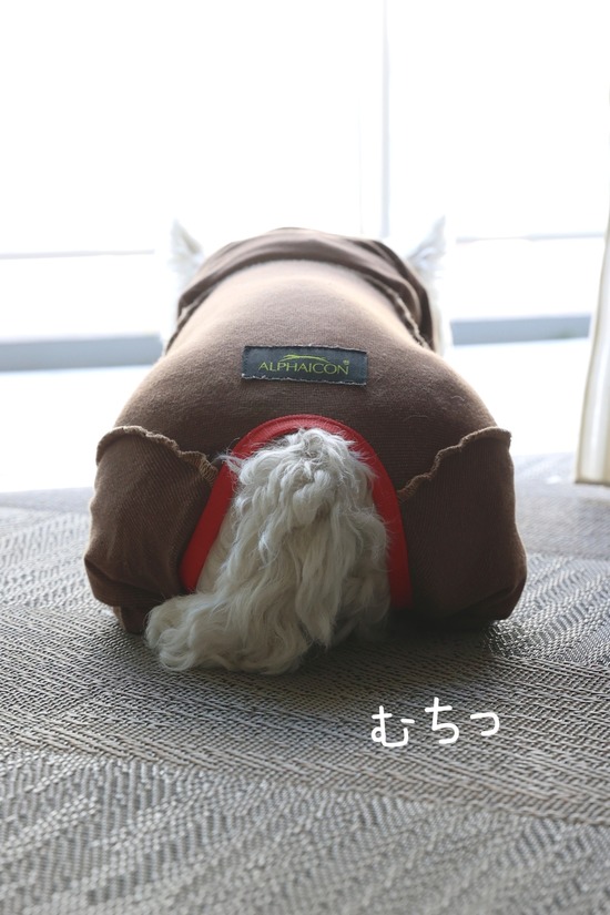 22-03-14-09-02-26-362_deco