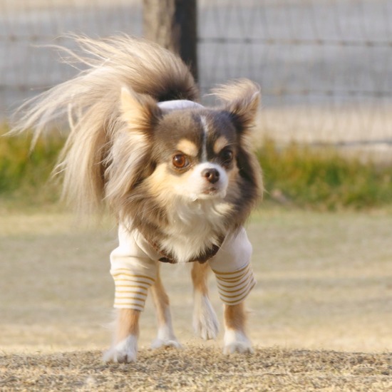 21-12-02-14-33-37-691_deco